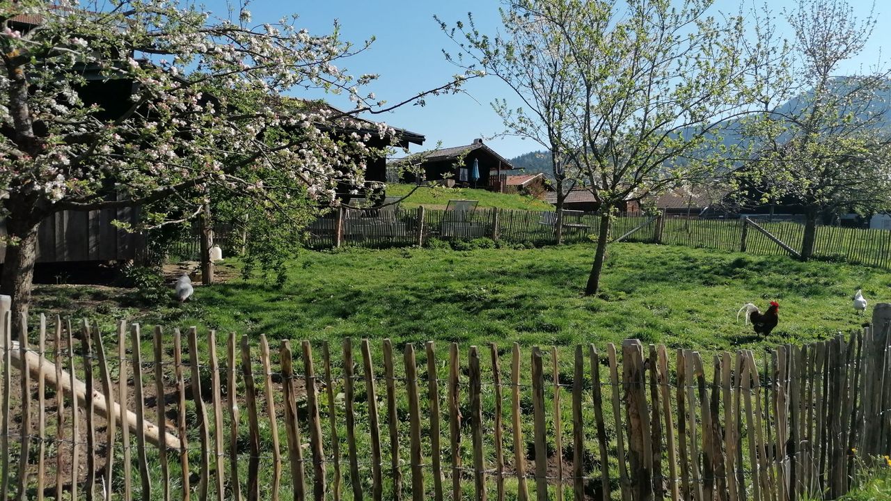 Hühnerreich Hühnerreich